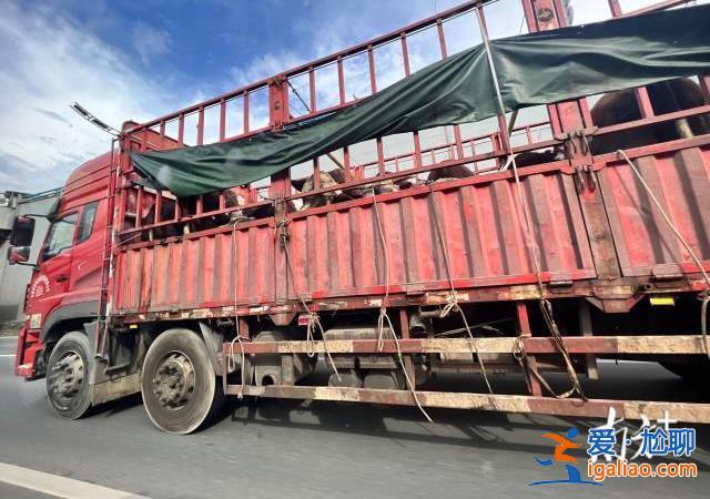 供應商等5人被控制？