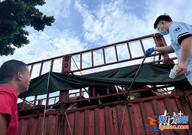 供應商等5人被控制？