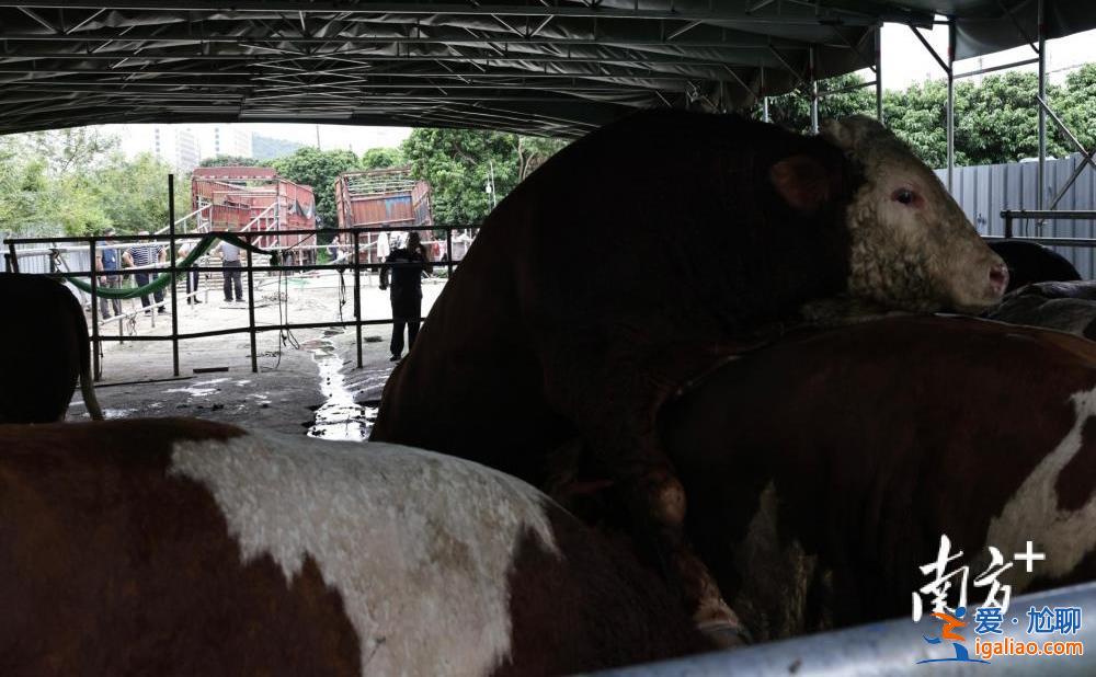 供應商等5人被控制？