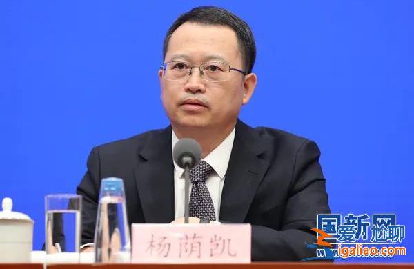 楊蔭凱已任中央財(cái)辦副主任？