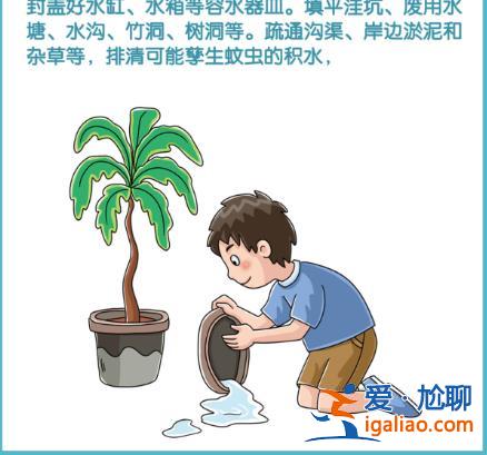 廣東茂名出現2例輸入性登革熱病例？