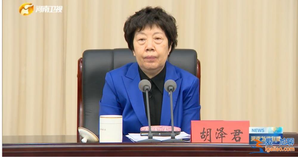 “女將”再掛帥！中央巡回指導組已赴地方 首位公開亮相的組長是她？