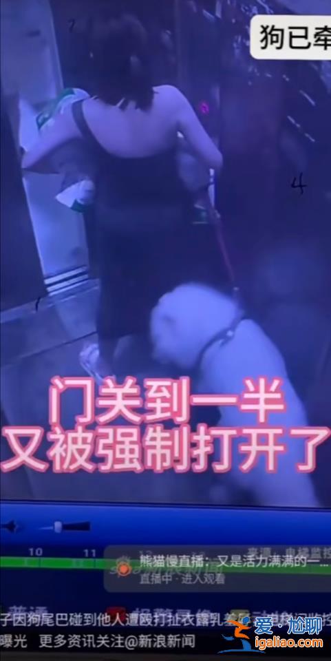 牽狗進電梯與鄰居發生糾紛 女子發多條視頻稱遭毆打羞辱？