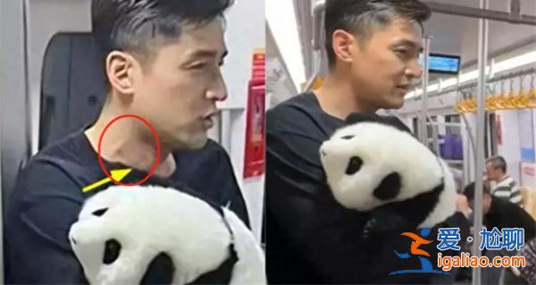 胡歌抱國(guó)寶現(xiàn)身地鐵，胡歌現(xiàn)身地鐵原因是這點(diǎn)[地鐵現(xiàn)身原因]？