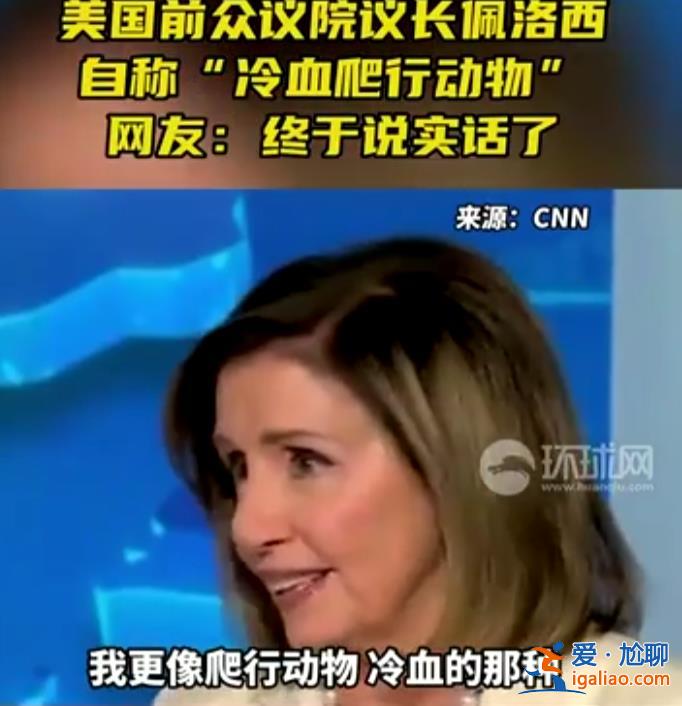 我更像爬行動物 冷血的那種??？