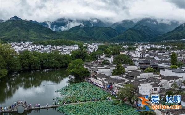 九名市（州）長進京檢討，以下是要其檢討的原因[進京]？