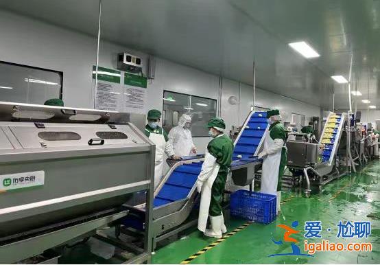 預制菜進校園？多地爭議不斷 有家長辭職送飯？