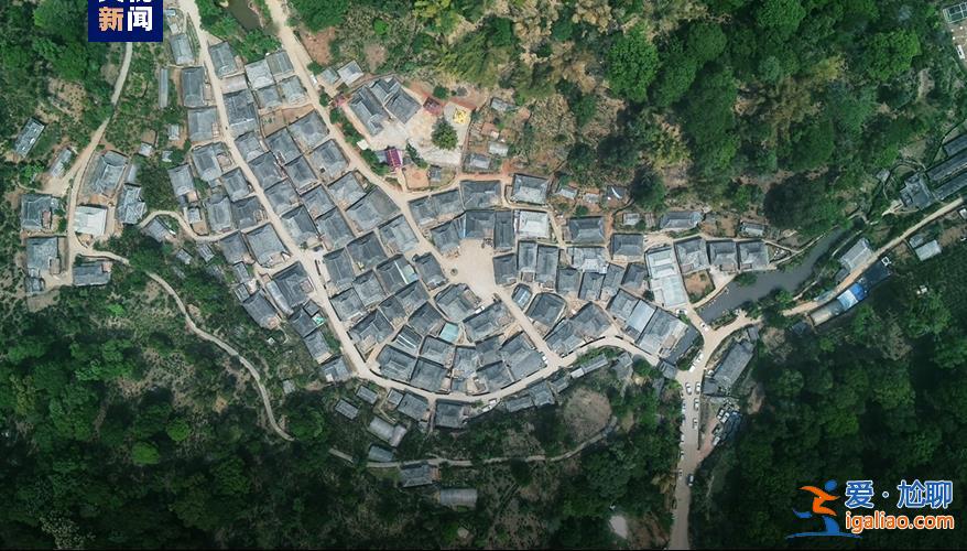 歷經13年申遺 云南“普洱景邁山古茶林”列入世界遺產? 歷經13年申遺 云南“普洱景邁山古茶林”列入世界遺產?