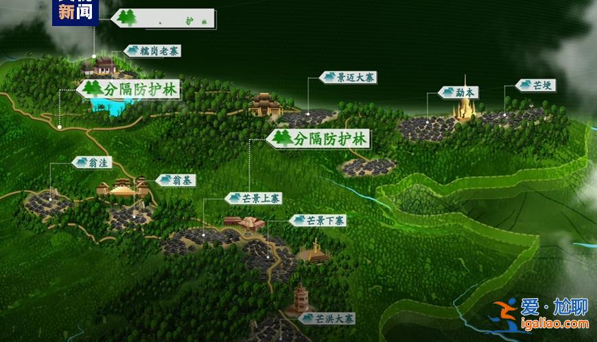 歷經13年申遺 云南“普洱景邁山古茶林”列入世界遺產? 歷經13年申遺 云南“普洱景邁山古茶林”列入世界遺產?