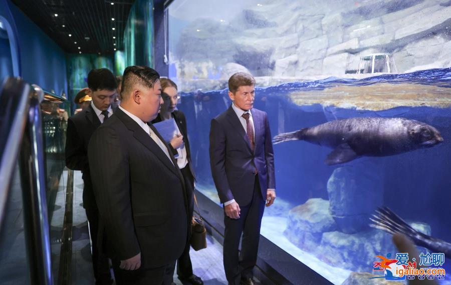 金正恩結(jié)束“最長出訪” 妹妹金與正“全程低調(diào)”？