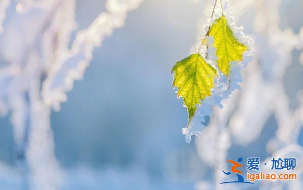降雪降雨繼續 你準備好秋衣秋褲了嗎？？