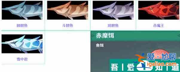 原神魚愛吃什么餌 具體一覽？