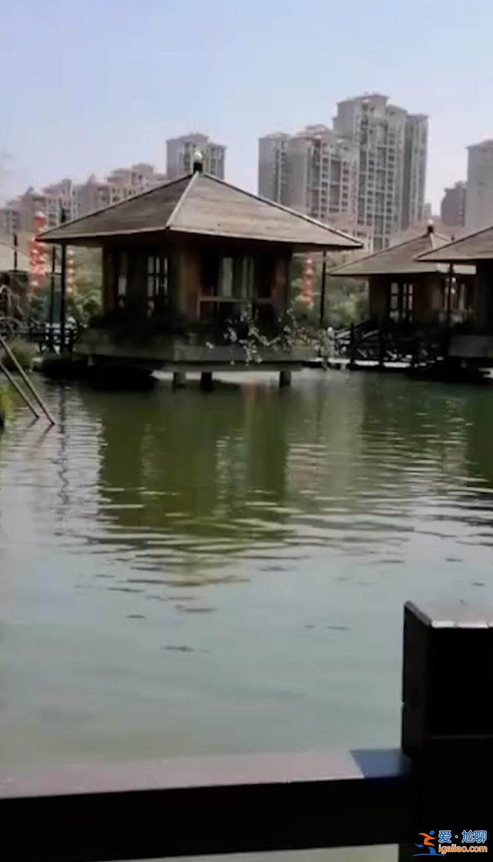 福建泉州市一區(qū)長(zhǎng)水上餐廳就餐時(shí)落水身亡？當(dāng)?shù)卣k公室回應(yīng)？