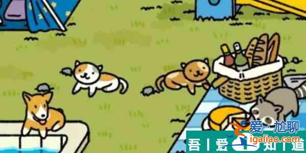 萌宅物語貓咪丟失了怎么辦 萌宅物語貓咪丟失找回方法？