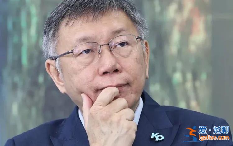“藍白合”達成 民進黨派系斗爭激烈？