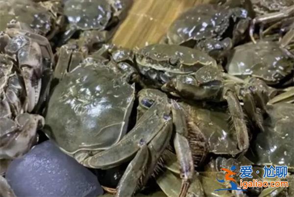 農產品怎么了價格下跌 大閘蟹跌至白菜價 豬肉大幅下降40%？