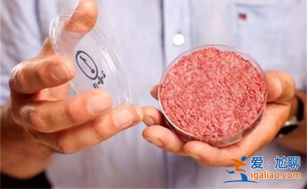 “植物肉”概念股怎么了 持續虧損 退潮？