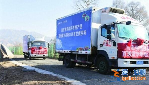 海東怎么樣了特色果蔬再次出圈 樂(lè)都80噸彩椒出口俄羅斯？