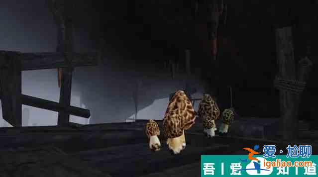 明日之后圣羅納市資源分布在什么地方 明日之后圣羅納市資源分布詳解? 明日之后圣羅納市資源分布在什么地方 明日之后圣羅納市資源分布詳解?