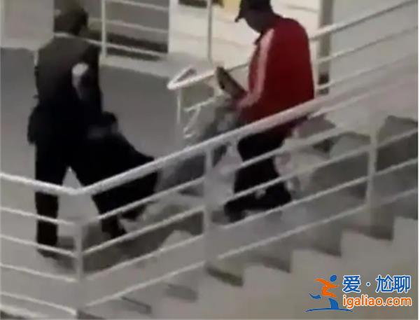 男生扮女裝進(jìn)女寢被電暈，學(xué)?；貞?yīng)看一條[回應(yīng)看一條]？