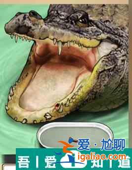 全民劇本大師鱷魚拔牙怎么通關 鱷魚拔牙通關攻略？
