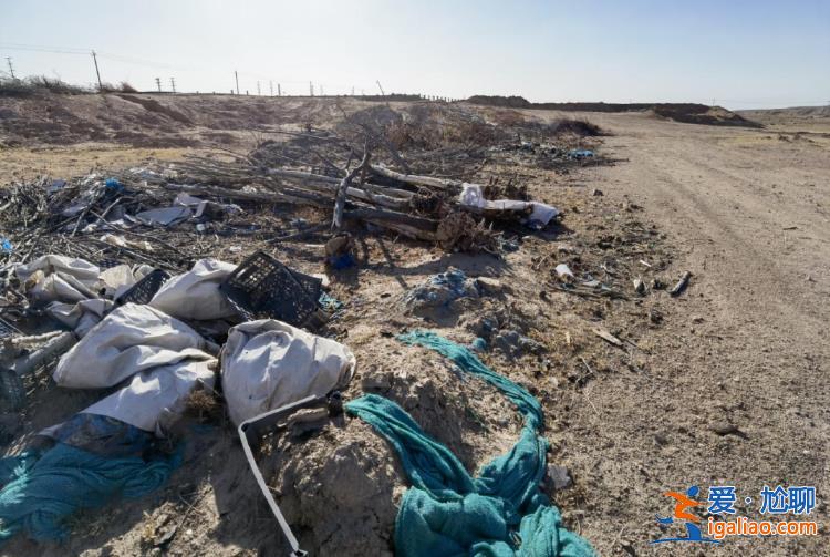 主管部門為何視而不見？？