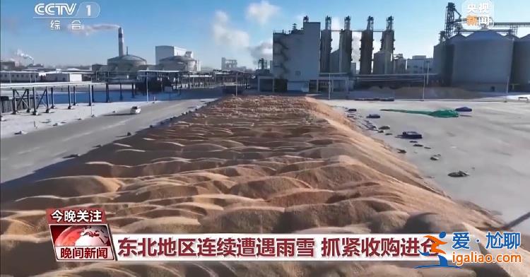 三預警齊發 強寒潮來襲 各地多舉措保障群眾溫暖過冬？