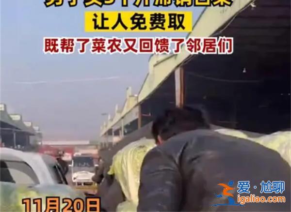 男子買3千斤滯銷白菜讓人免費取，貢獻社會比扔了有意義[滯銷]？