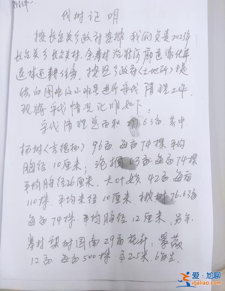 河南信陽一鄉(xiāng)政府邀請農(nóng)業(yè)公司建生態(tài)林 幾年后派人砍樹稱其違法占地？