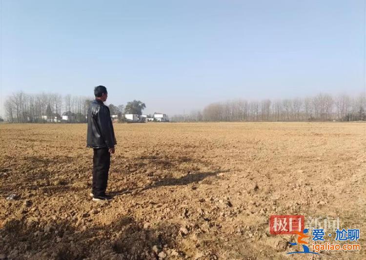 河南信陽一鄉(xiāng)政府邀請農(nóng)業(yè)公司建生態(tài)林 幾年后派人砍樹稱其違法占地？