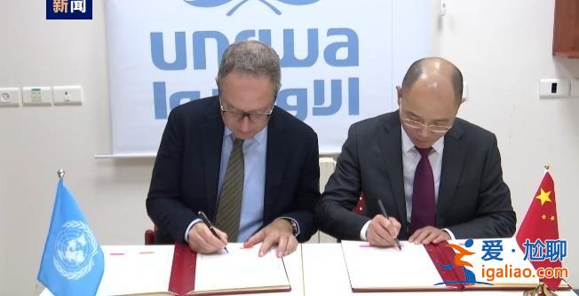 中國緊急人道主義援助物資從埃及發運？