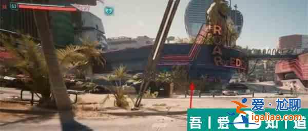 賽博朋克2077九尾X？