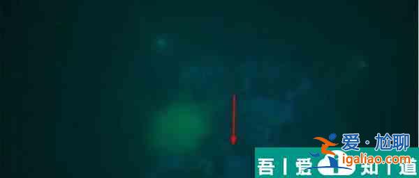賽博朋克2077九尾X？