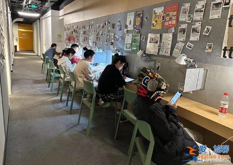 有人住最便宜的十人間 投1萬份簡歷獲兩個offer？