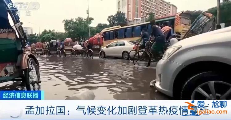 孟加拉國登革熱疫情已致1628人死亡 嚴(yán)重程度創(chuàng)歷史之最？