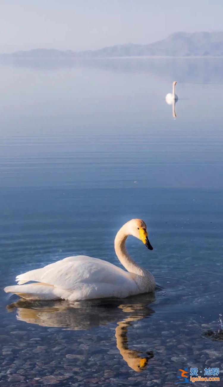踩過旅游坑的年輕人 開始“打聽式旅游”？