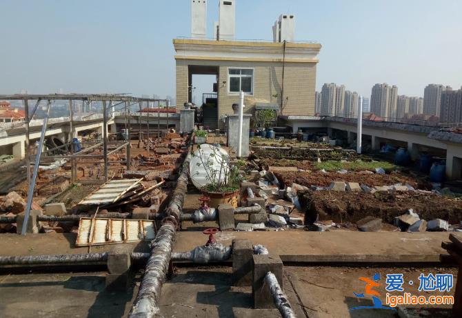 長沙老人把小區樓頂“開墾”成菜園 規模巨大震驚鄰居 目前正清除？