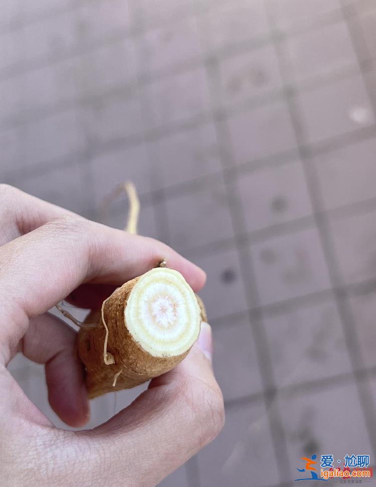 實際上是中毒反應? 實際上是中毒反應?