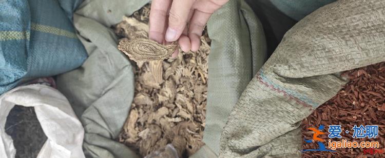 實際上是中毒反應? 實際上是中毒反應?