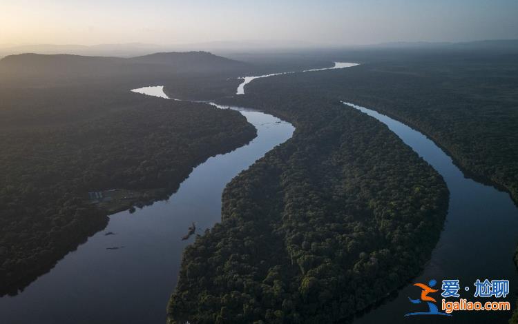 已調(diào)動(dòng)軍隊(duì)? 已調(diào)動(dòng)軍隊(duì)?