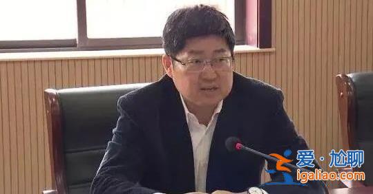 向組織申報的財產就有數億！“10億副省長”被捕 長期偷看違禁書？