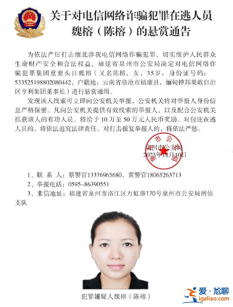 74歲緬北果敢自治區原主席、2名女董事長等10人？