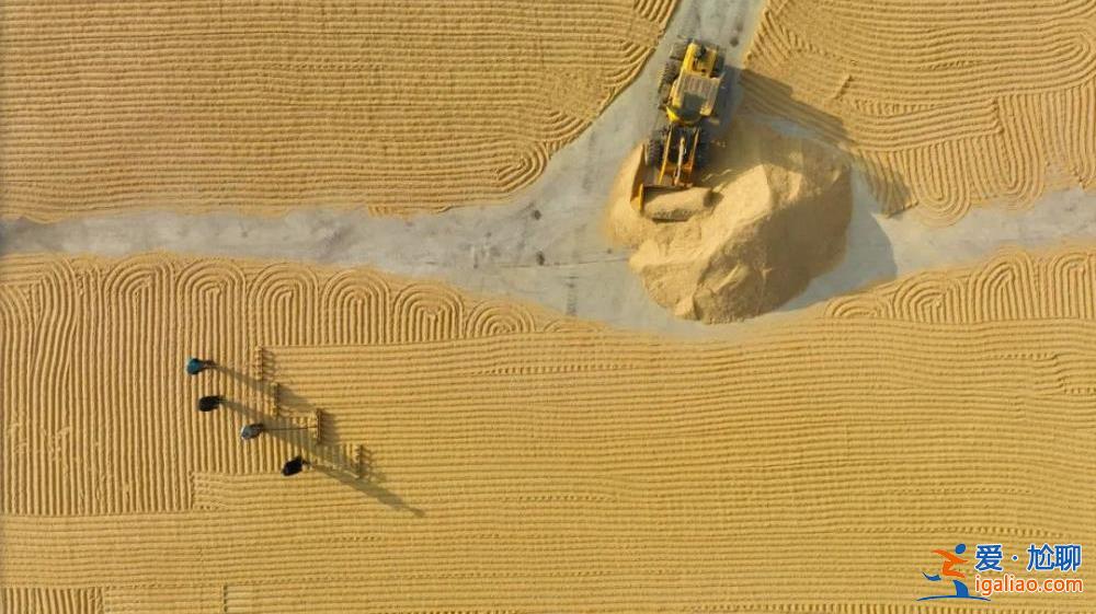自然災害多發、耕地面積減少 為何還能實現糧食豐收？農民日報回應？