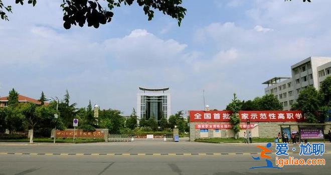 職業院校實習亂象屢禁不止原因為何[實習]？