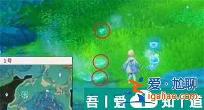 原神4.2新增鰻魚寶箱位置在哪里 位置分布一覽？