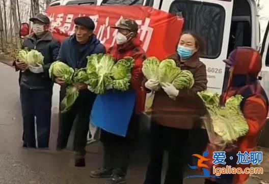 河南某地疑似讓老人寒風中捧白菜擺拍 當地天氣寒冷? 河南某地疑似讓老人寒風中捧白菜擺拍 當地天氣寒冷?