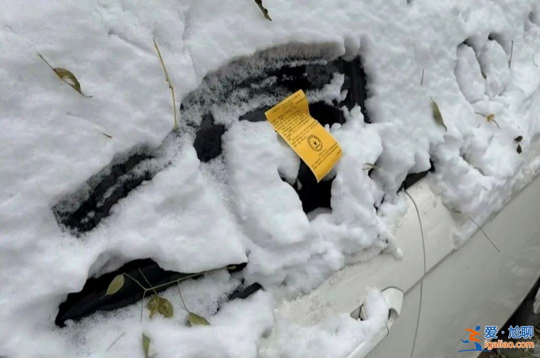 石家莊雪中罰單是什么情況，交警回應(yīng)雪中罰單[什么情況]？