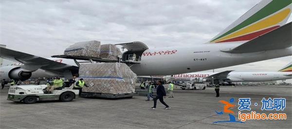 背糧食踏上韓國航班為什么，韓國航班要注意什么？[韓國航班注意事項]？