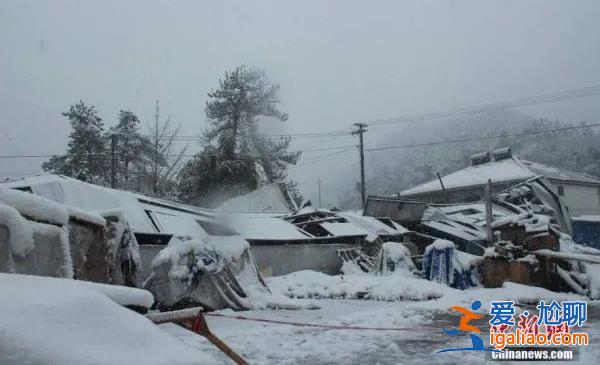 雪大到模糊！積雪最深達74厘米！四問山東半島暴雪！？