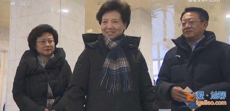 諶貽琴時隔兩個月再赴東北 又一次關注這項重要工作？